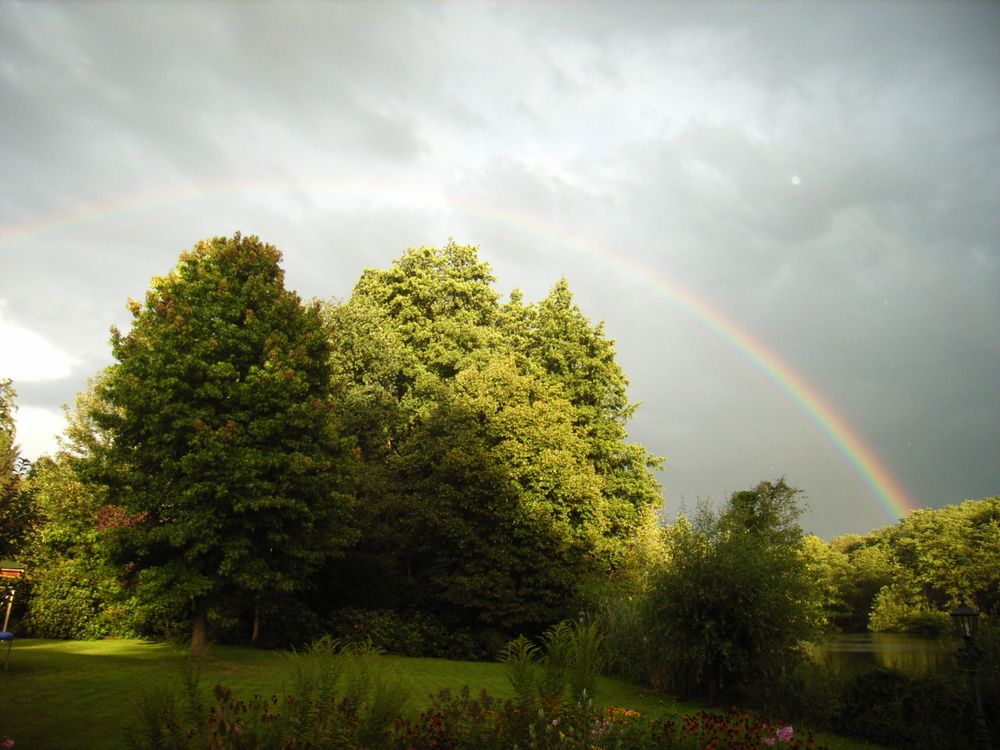 regenbogen_002